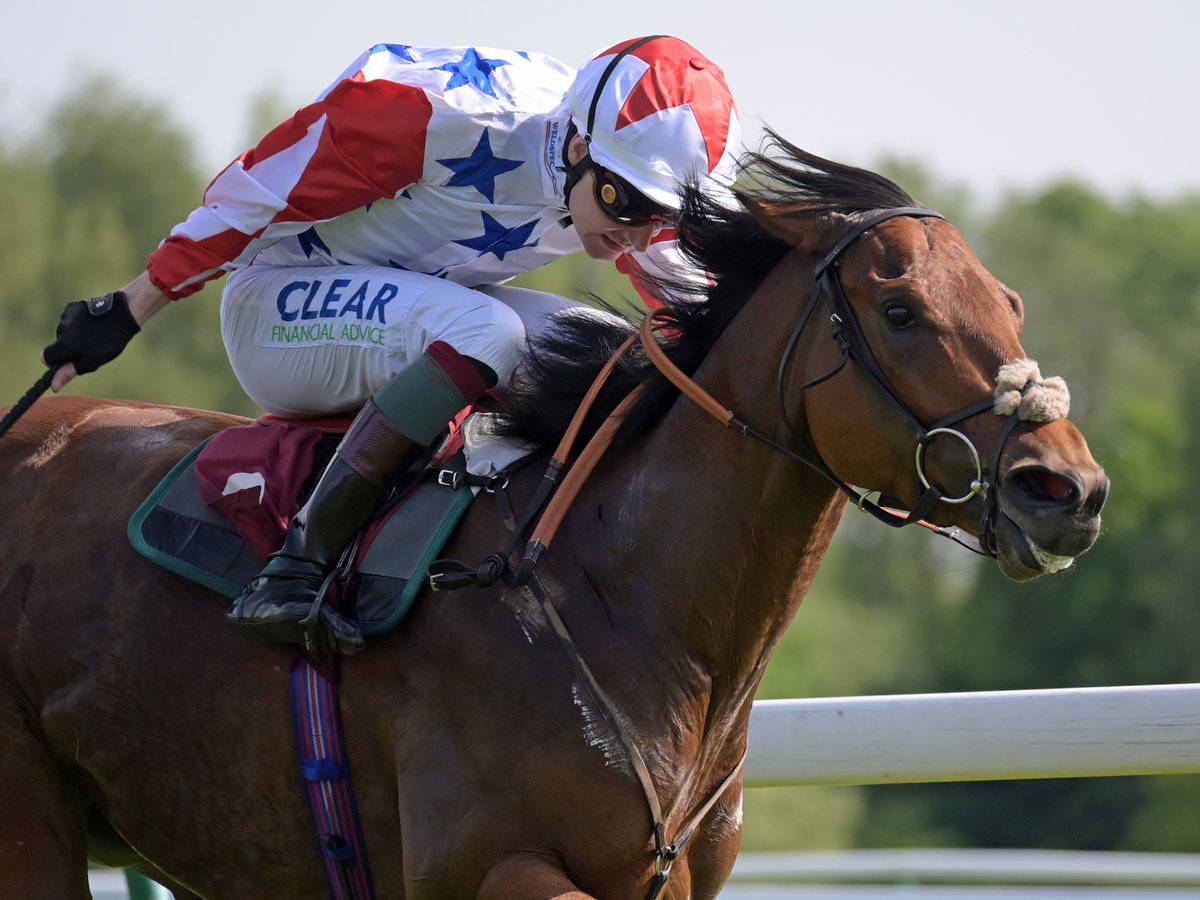 🏆 Great to see Shartash return to Stakes winning ways! He won Saturday's Spring Trophy Stakes @haydockraces for new connections Weldspec Glasgow Limited & @Archie_Watson. The son of Gr.2 winner #Shamreen was sold to @BlandfordBldstk at last year's @InfoArqana Arc Sale. 👏