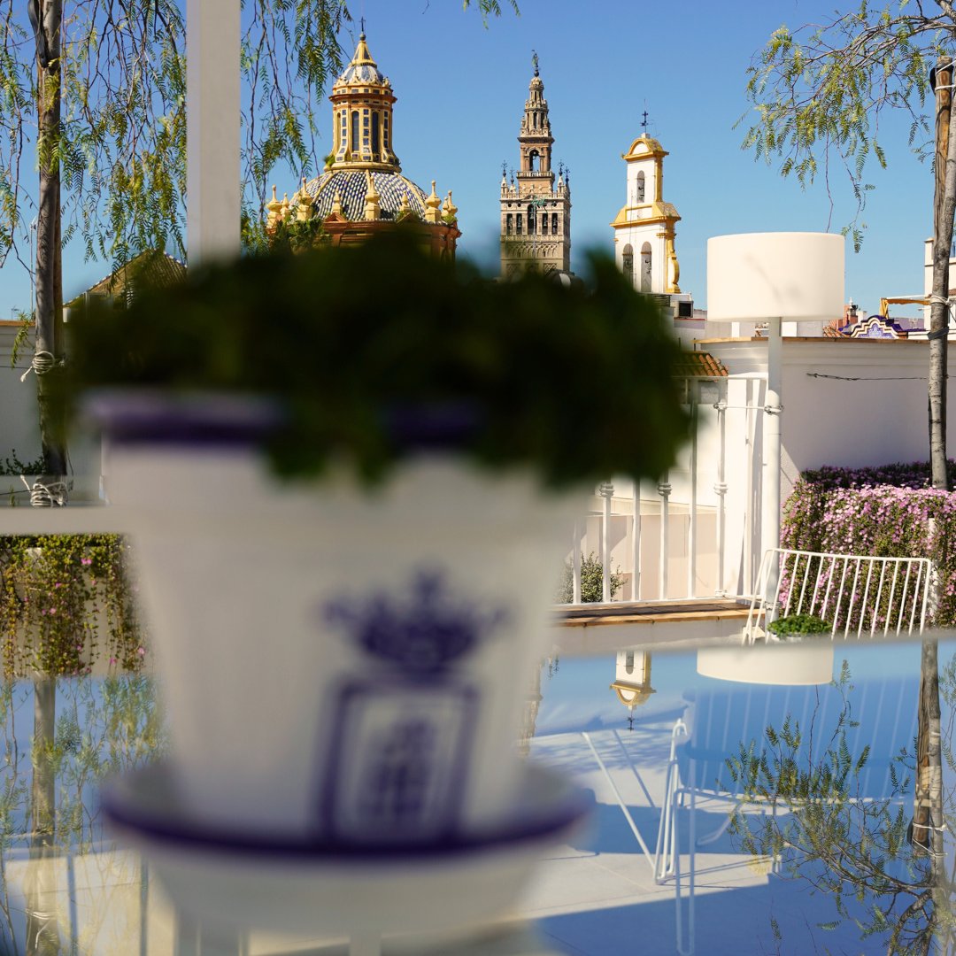 Hotel Fernando III tweet media