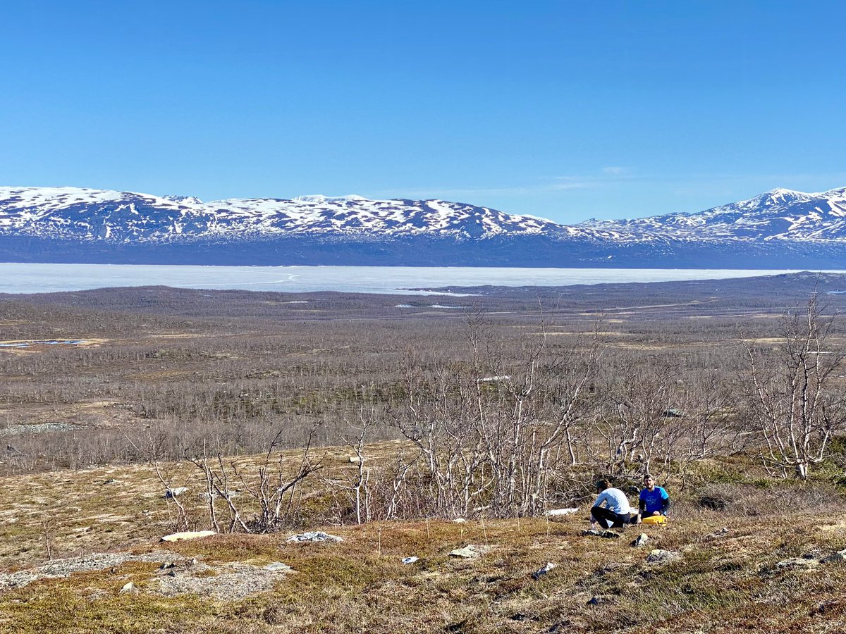 Interested in how microbes control the #biogeochemical cycles and provide the biological feedback to #climatechange? Interested in the interactions by which #drought, #warming and #extreme #weather affect #microbial #ecology? We are hiring 2 #postdocs: lu.varbi.com/en/what:job/jo…