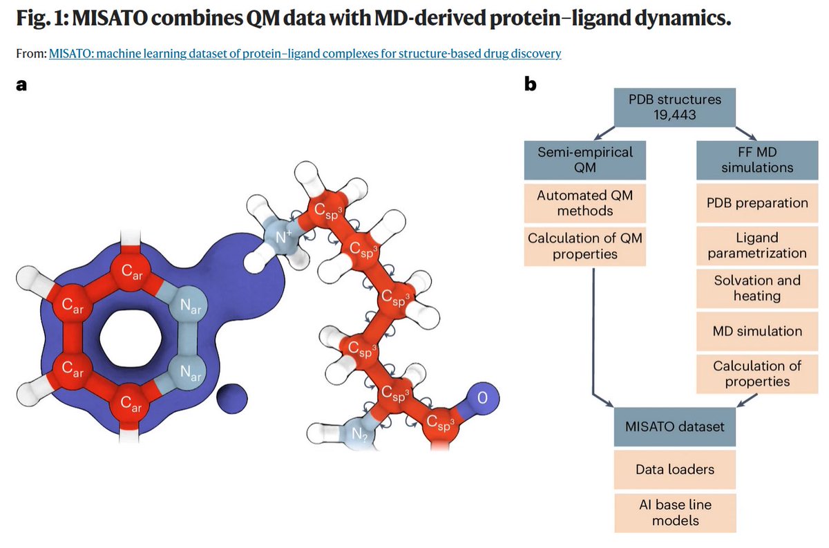 t7morgen7's tweet photo. Very excited that MISATO is now published in Nature Computational Science. Check out the dataset to train the next generation of ML models for structure based drug discovery. All data and baseline models are freely available.
https://t.co/34BeAIIfpw https://t.co/1ii1jMAlJB