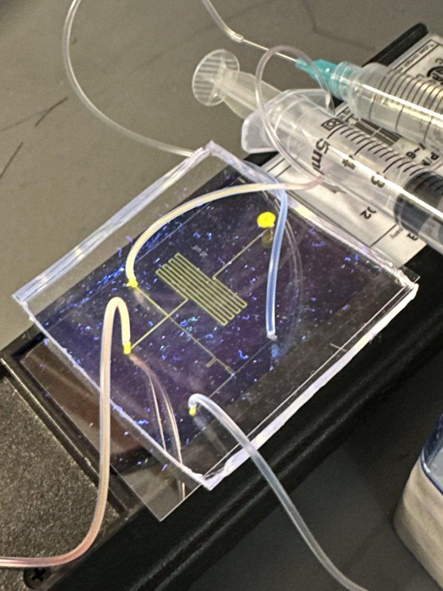 Nienhaus Lab tweet media