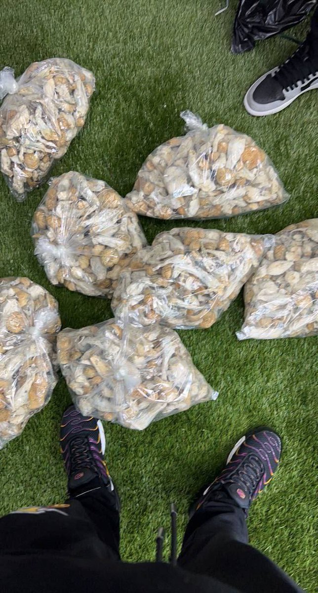 New Shroom Drop A Bag 500$ Deal Of The Day

Just 10bags. First come first serve