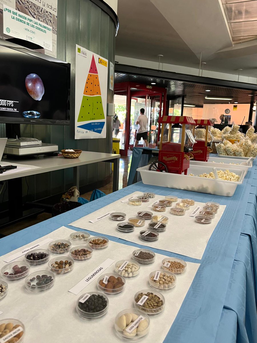 ValAnSe_food's tweet photo. El sábado pasado participamos en #Expociència2024 con las actividades:
"¿Por qué hacen POP! las palomitas? La ciencia de los cereales" 🍿 y "Que la chía te acompañe". 

@parccientificuv @iata_csic 

#ciencia #divulgación #cereales #semillas https://t.co/UunQ2abxkk