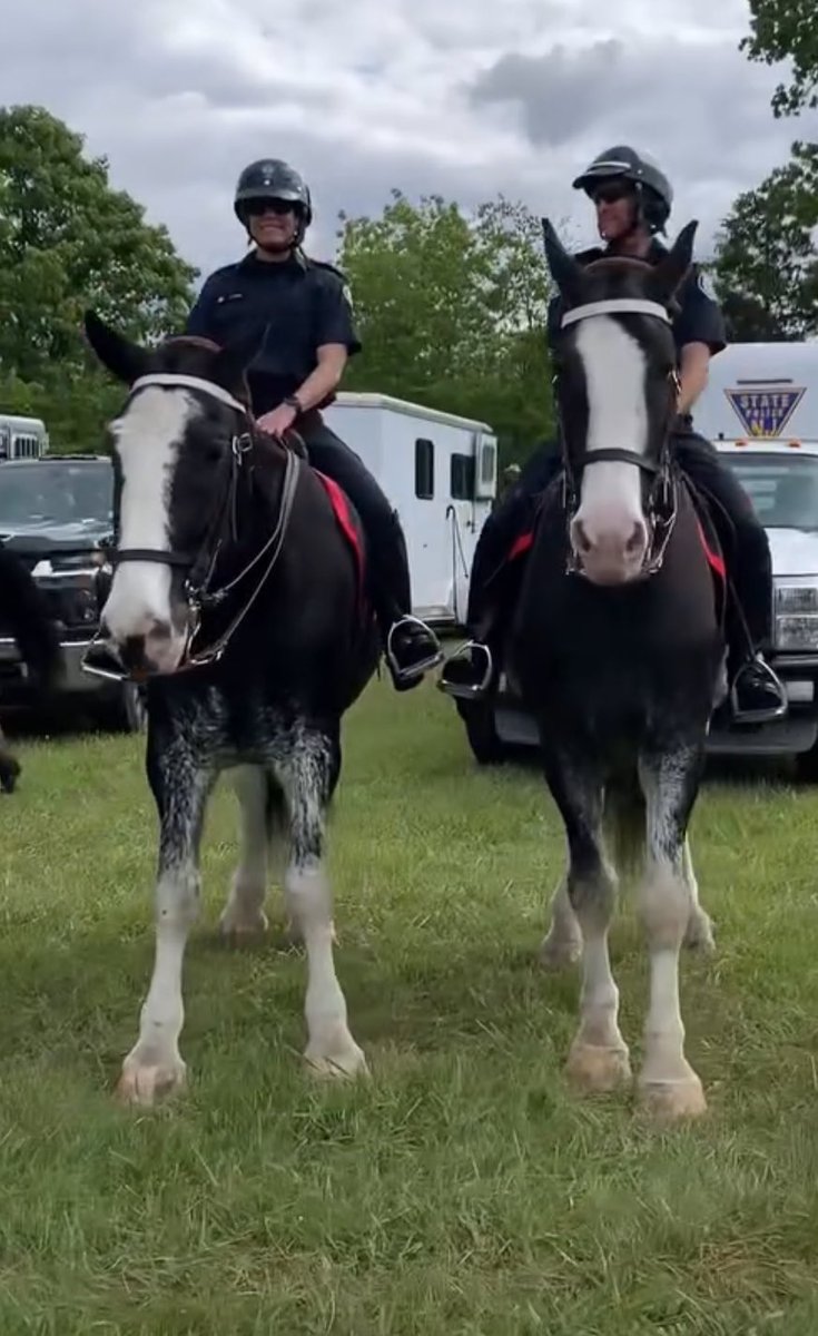 TPSMounted's tweet photo. #PHInvictus & little brother #PHQueen have arrived in Virginia 🇺🇸 for this years NAPEC training week. These two will learn & share with Mounted Officers from all over the USA & our Training Sgt and lead Trainer will be teaching part of the program. #NAPEC2024 #Mounted #standtall https://t.co/JnYEg6WQtJ