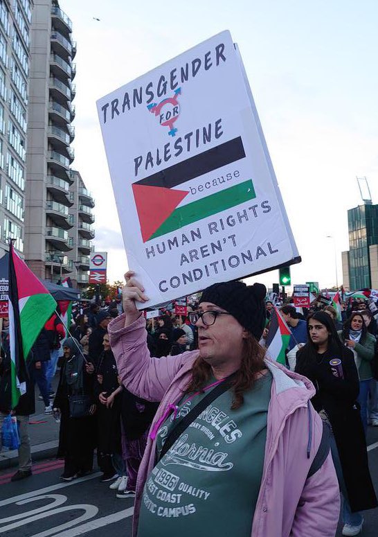 'Transgender for Palestine because human rights aren't conditional' Are they serious?!