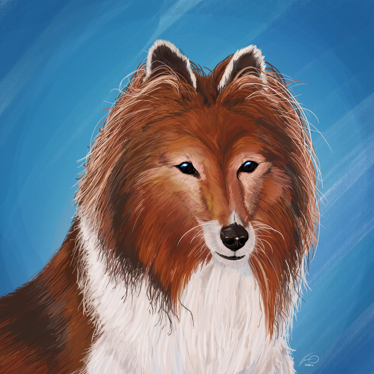 Digital Painting of my family friends Sheltie Dog