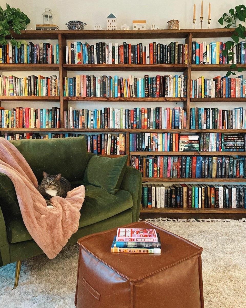 За читачите 
Стуткани со омилена книга во фотелјата на оваа прекрасна библиотека. 📚 Секој книга раскажува нова приказна, секоја страница нов свет за истражување. Дури и мачката не може да одолее на привлечноста на добра книга! #BookLovers #HomeLibrary📖🐾