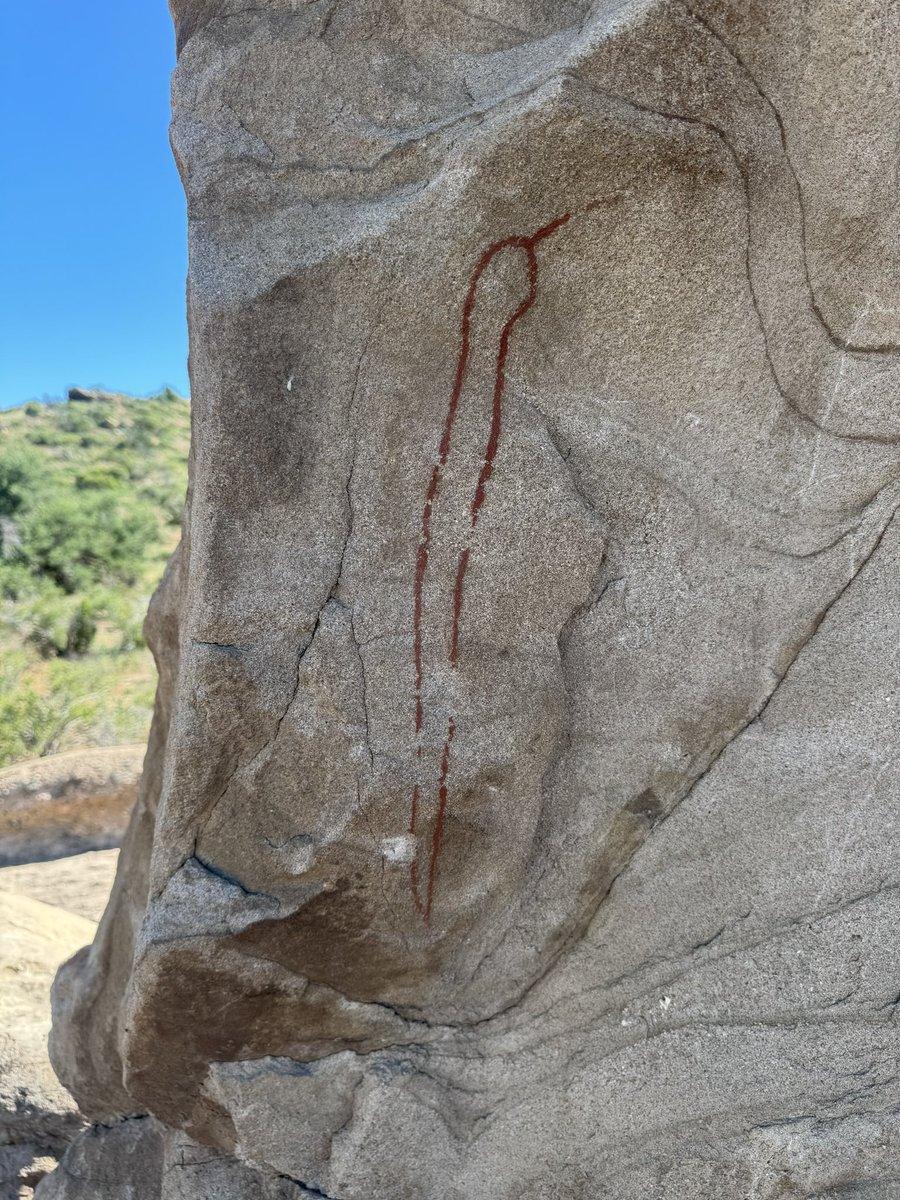 Jon Noad tweet media