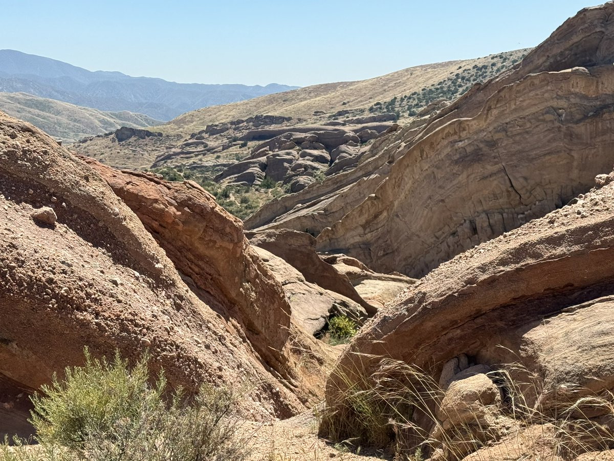 Jon Noad tweet media