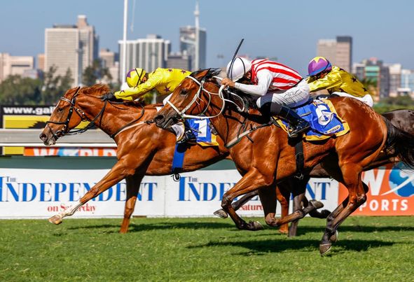 Hollywood Syndicate tweet media