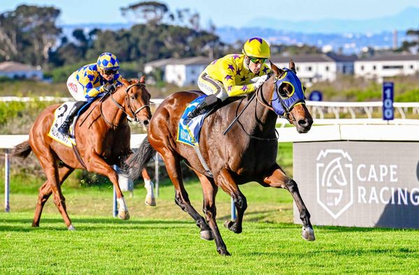 Hollywood Syndicate tweet media