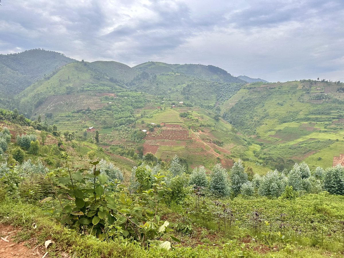 Jessica Mwiza tweet media