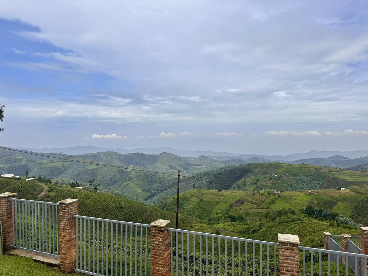 Jessica Mwiza tweet media