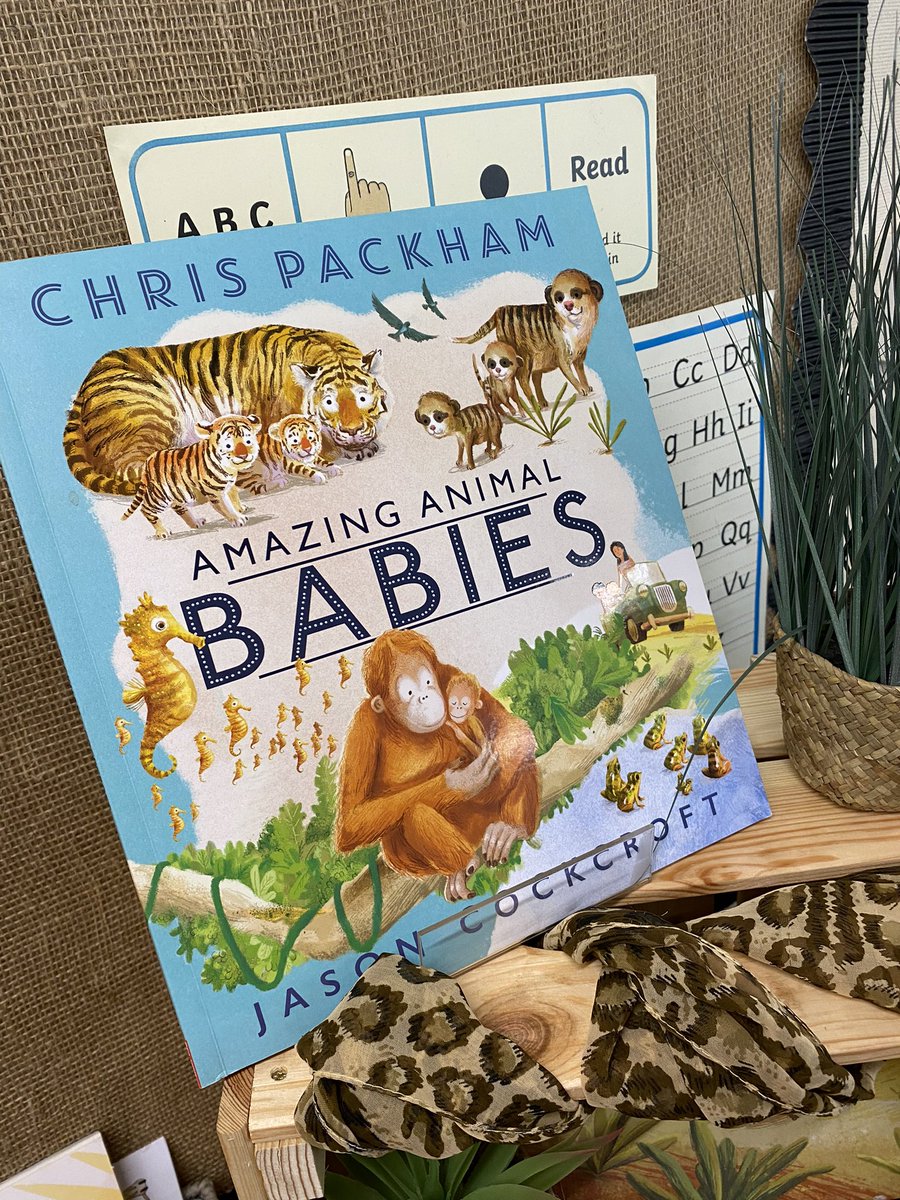 🦊Fox Class begin a new text this week in their #English lessons. Based on ‘Amazing Animal Babies’ @ChrisGPackham they will be carrying on their new love for meerkats by writing non-chronological reports about these fascinating creatures ✏️