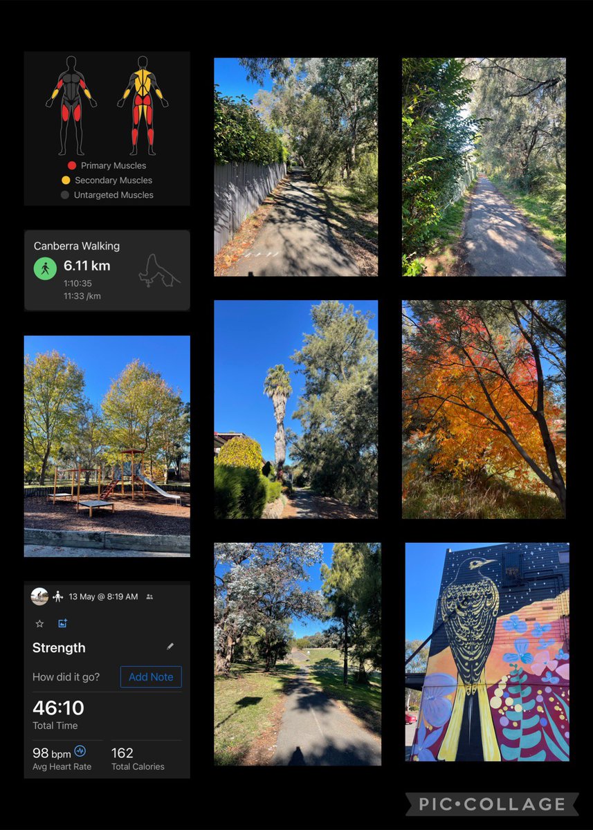 Cathy 🦉 tweet media