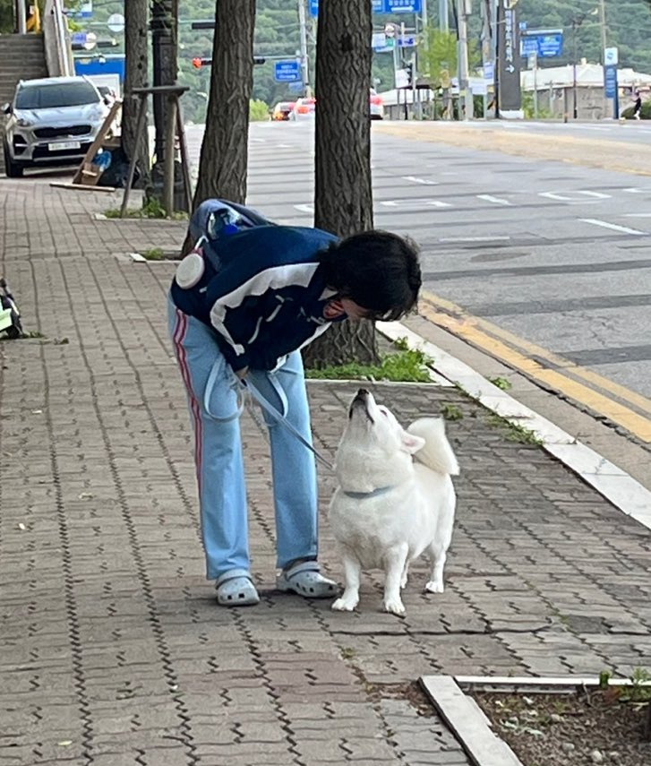 dog_ys1223's tweet photo. 정수리에 있는게 진드기인가 보는중
 👀.                                                               어디서 시선이 https://t.co/B7vauNfG6G