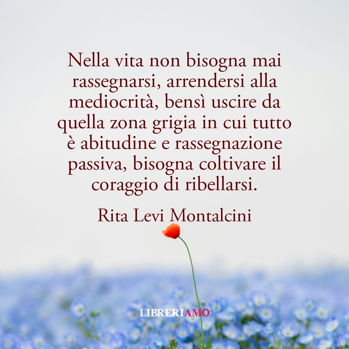 La mediocrità ci insegue, ci avvolge, chiede il sopravvento. Come dice una grande donna di scienza come Rita Levi Montalcini, bisogna avere la forza di reagire a tutto ciò che ci tira in basso. #Buongiorno! #13maggio