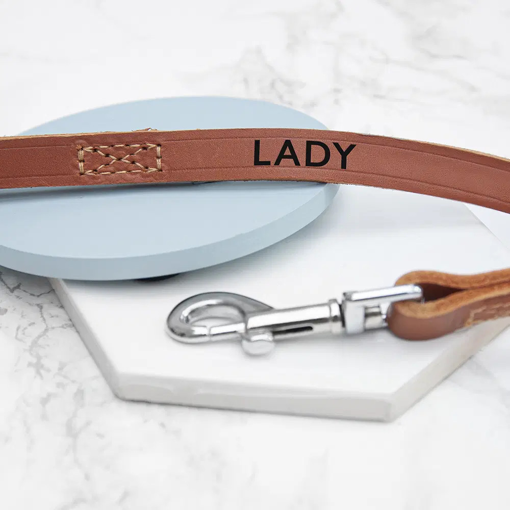 Parade the pavements in style this summer with a hand crafted leather dog lead The lead can be personalised with your dog name and contact details Why not go all in and treat them to a matching collar too? dotty4paws.co.uk/product/person… #Earlybiz