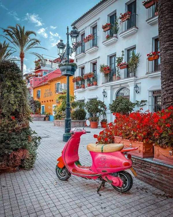 Marbella , Spain 🇪🇦 Good morning 🌺