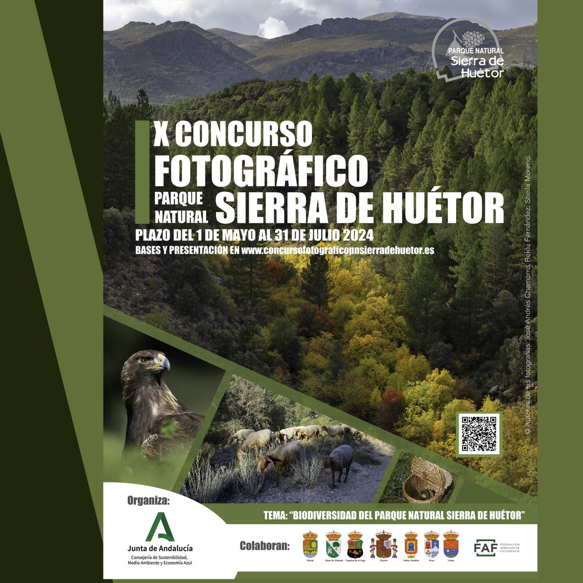 X Concurso de Fotografía Parque Natural Sierra de Huétor. El tema de la edición es la Biodiversidad del Parque Natural en sus diferentes variantes, como la flora, fauna, ecosistemas, paisajes, elementos etnográficos, culturales, y otros. lajunta.es/4sh2e