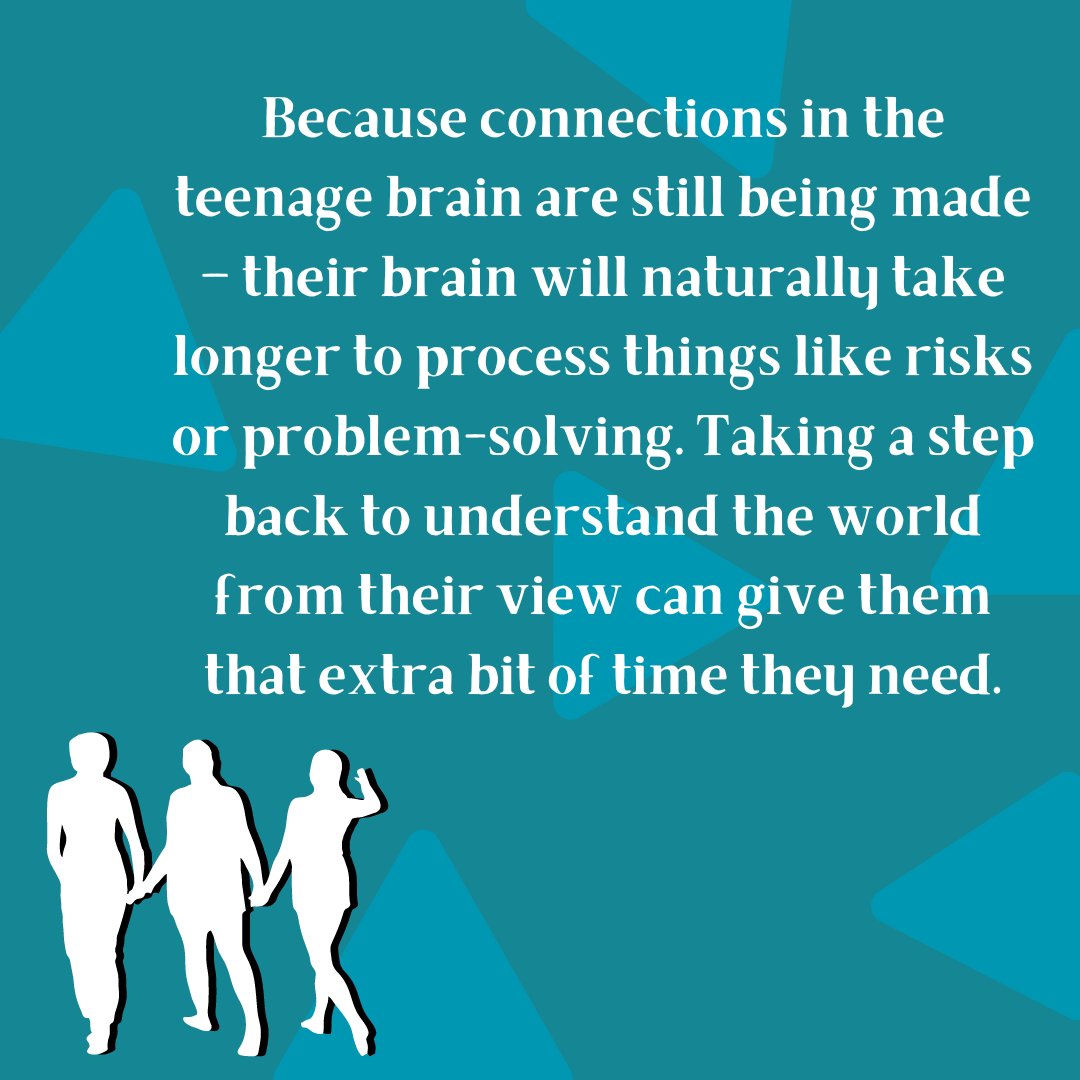 With so much construction work going on in the teenage brain, processing information that requires estimating risk does take them longer. In those times when the answer seems obvious, taking a moment can help you see the world from their point of view. #teenagebrain #parenthelp