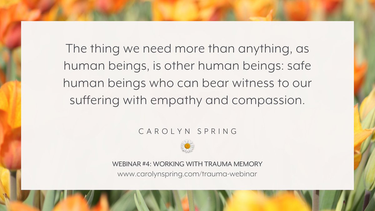 We can't simply launch into trying to resolve traumatic memories – flashbacks, dissociative amnesia, the emotional and often unconscious imprint of #trauma. We need a solid foundation of safety and support first.

Find out more:
carolynspring.com/shop/trauma-we… 

#TherapistsConnect #ptsd