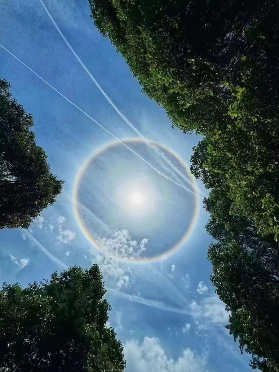 This morning,  a solar halo appeared  over Wenzhou,Zhejiang. It's not often to observe such a breathtaking scene. Absolutely amazing.  #solarhalo