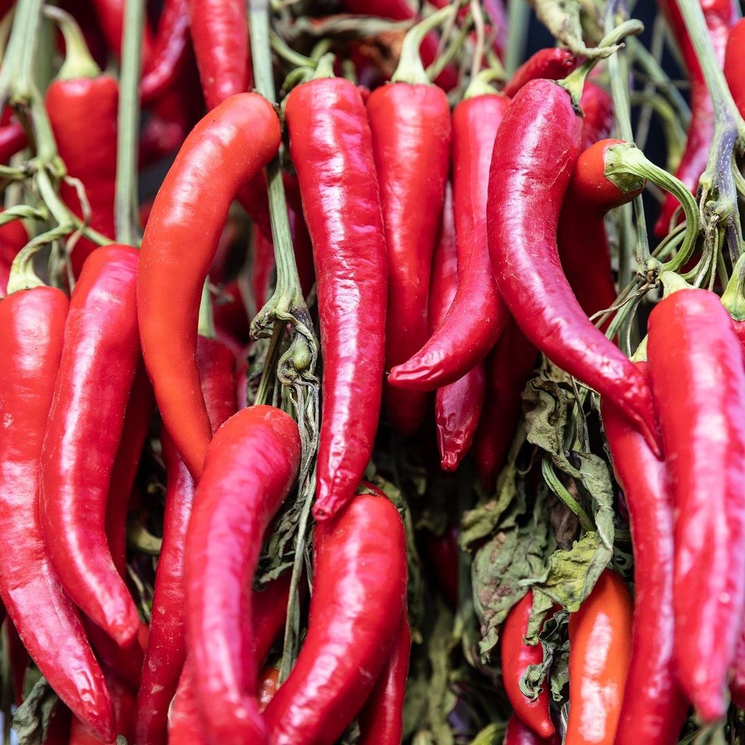#Benefits of #RedPeppers

May reduce the risk of cataracts and macular degeneration

May reduce anemia

May protect against certain chronic diseases

May delay age-related memory loss

May have blood-sugar lowering effects

#FarmForMarket
Fruitful week to all #farmers