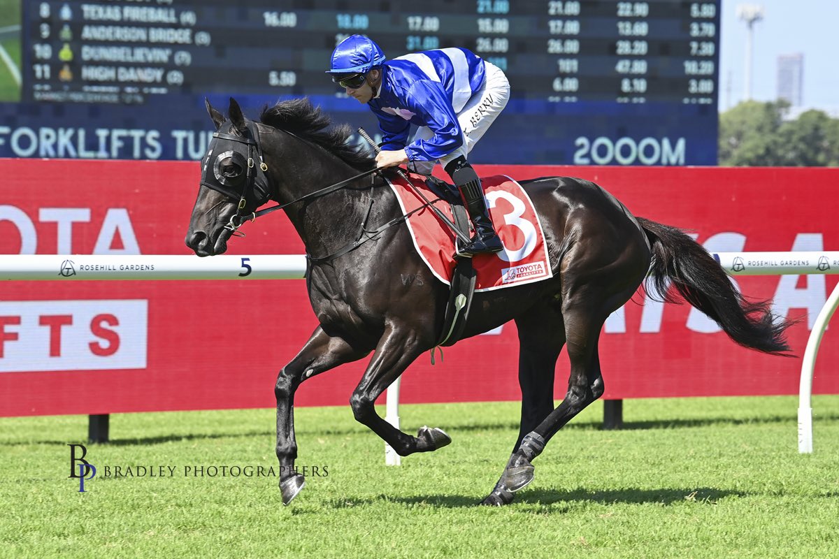 🔵⚪️WYMARK - 5% Share available⚪️🔵 Get involved in an exciting, up and coming stayer! 🐎 Ultra-consistent, Savabeel gelding 🏆 Winner of the G2 Tulloch Stakes 📈 11 starts for 4 wins & 4 placings 🎯 Targeting the 2024 spring carnival inglisdigital.com/lot/30000236.2…