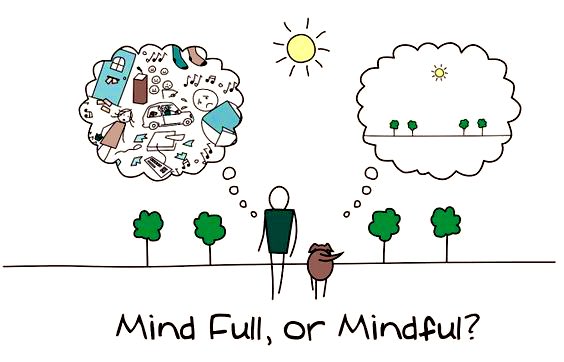 The present moment is the only time over which we have dominion. — Thích Nhất Hạnh Notice how 'mindful' and 'mind full' are like two sides of a coin? This Monday, let's flip towards mindfulness – embracing the present, releasing distractions, and savouring the beauty of Now.