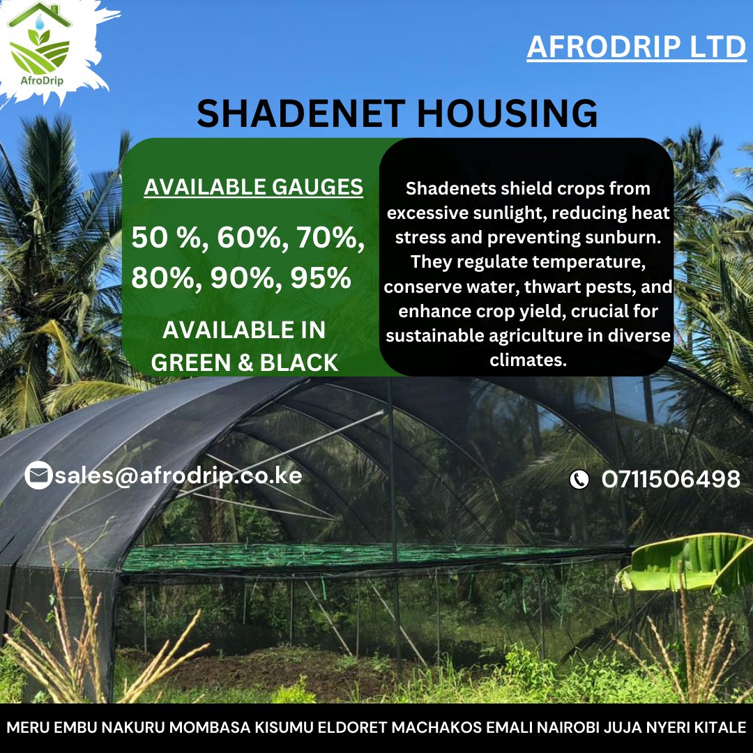 Shield your precious crops from nature's extremes with Afrodrip Shade Nets. 🌿 Protect against downpours, winds, and harsh sunlight.
For further assistance
☎️ 0711506498
✉️ sales@afrodrip.co.ke
Available at all Afrodrip's outlets
#shadenets #CropProtection #Afrodrip #shadehouse