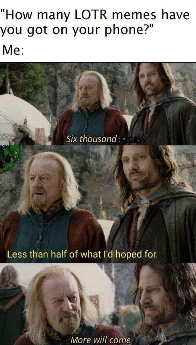 There is always more! 

#memes #LOTR #lordoftherings #movies