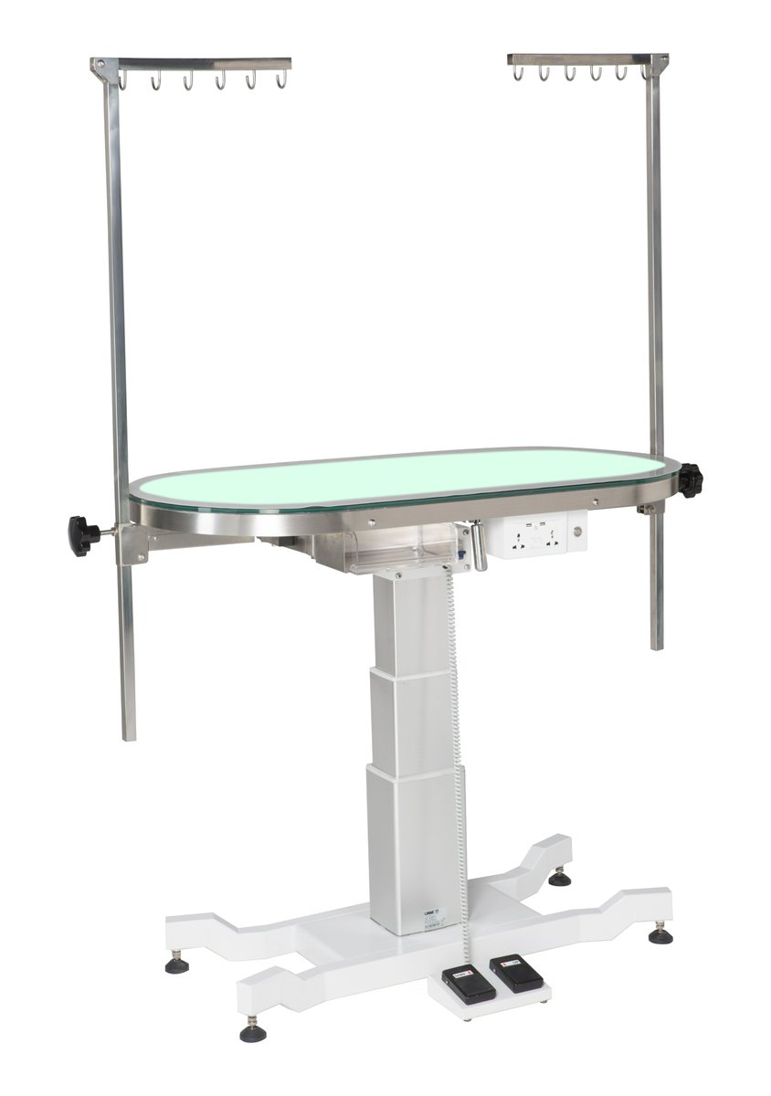 ACE Deluxe Electric Dog Grooming Table LED Swivel Dream Table.🥰
#Petstation #petstore #Petsupplies #petcare #petcare #electricbeautytable #lightingbeautytable #liftingbeautytable #catcare #petcare #petgroomer #cat #dog #pet