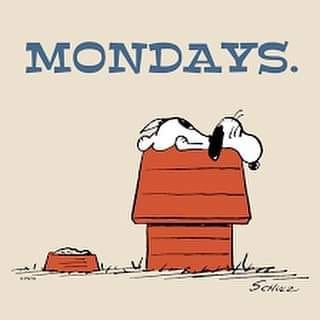 Here we go again.🥱😴☕️ Have a great week, everyone!🙋‍♀️ #MondayMood #GoodMorningEveryone