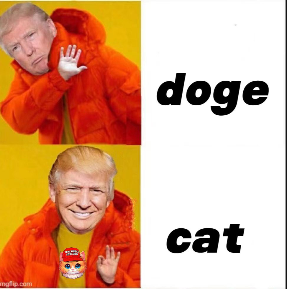 SimbaCatERC20's tweet photo. $SIMBA CAT ✅ 

#Trump2024 
#SIMBATHERESCUEDCAT https://t.co/3slylVuqQa