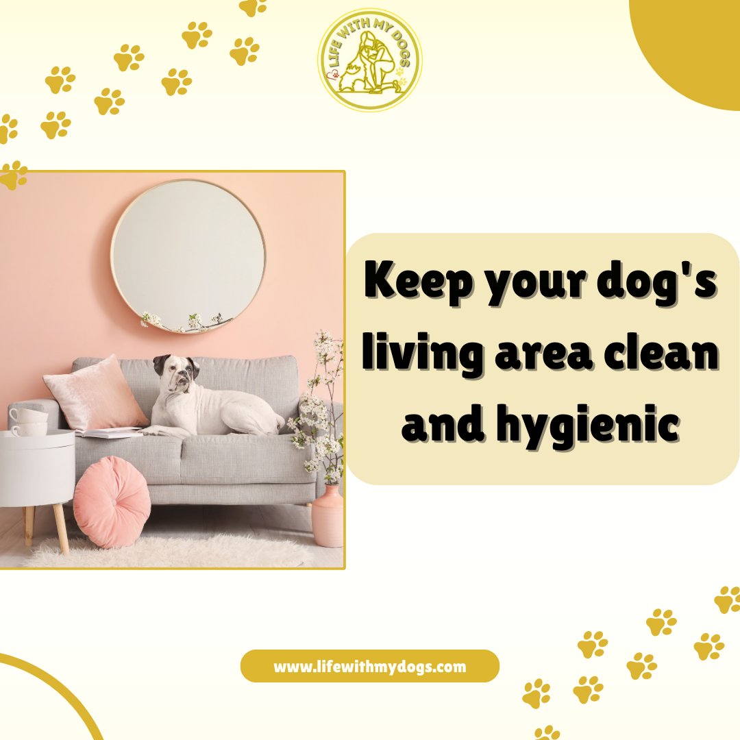 A clean den is a happy den: Ensure your dog's living space sparkles with hygiene and comfort. 🧼🐾 Discover more dog information, visit lifewithmydogs.com  #doghealth #pawcare #dogplayground #lifewithmydogs
