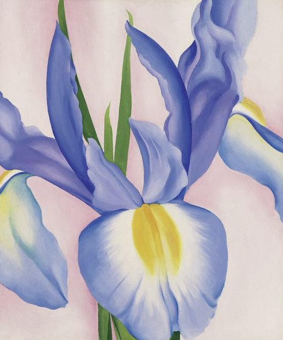 Lavender Iris #GeorgiaOKeeffe
