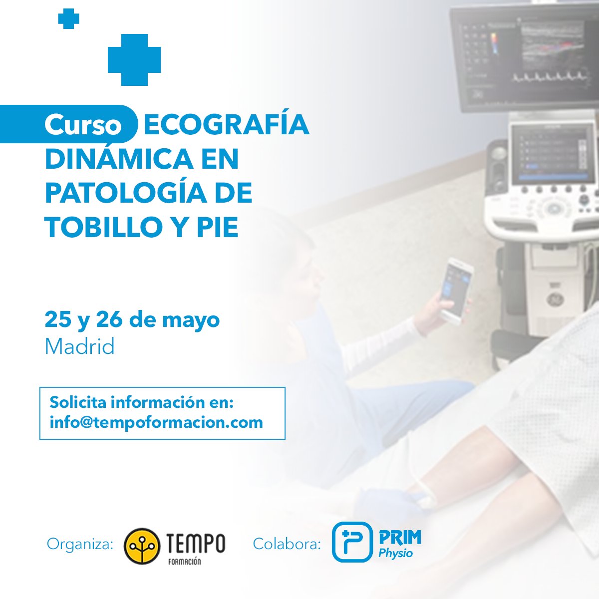 PRIM Physio tweet media