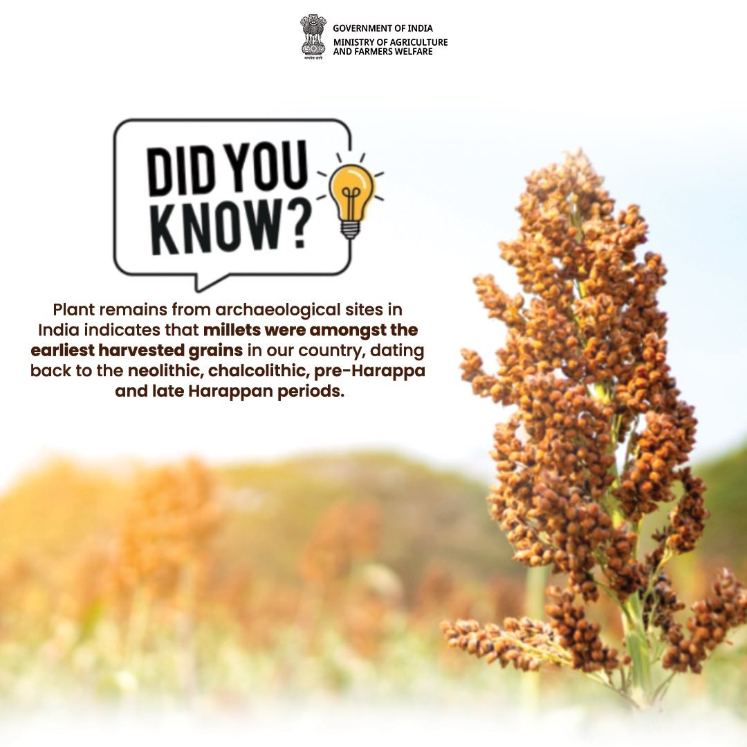 From Ancient Harvests to Modern Nutrition: Millets, the Timeless Grains of India.  #IYM2023 #ShreeAnna #history #milletfacts