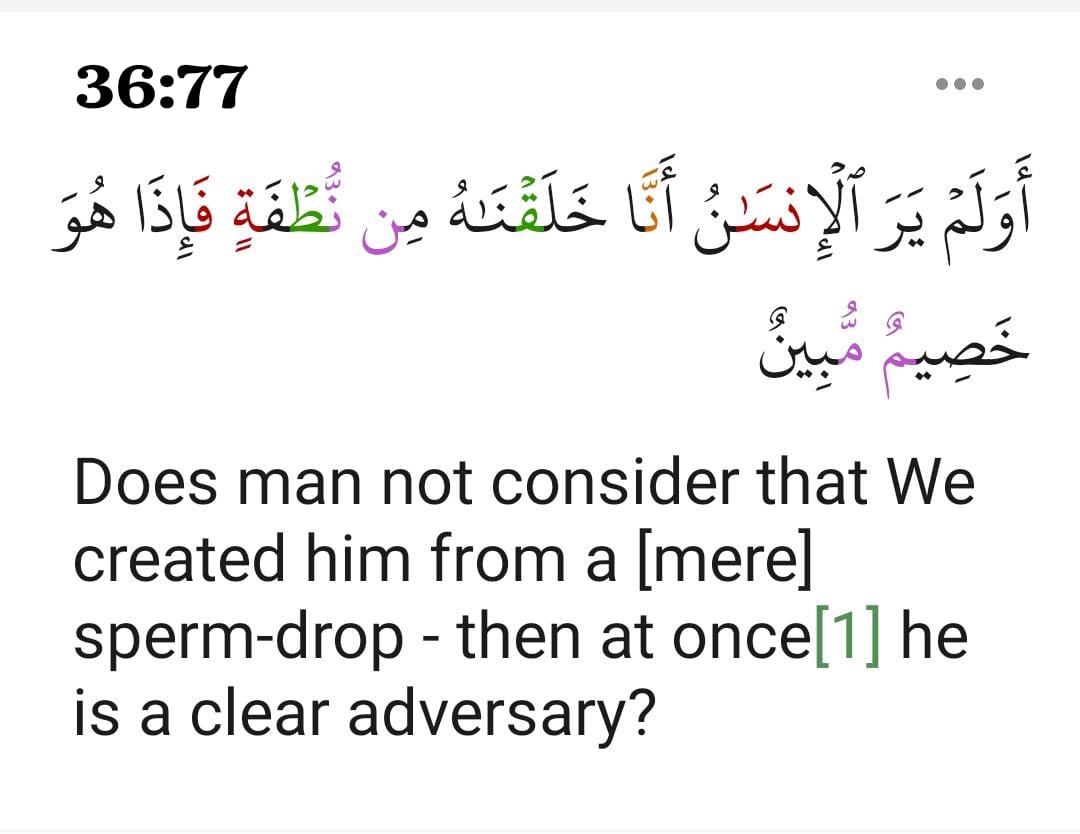 Does man not consider that We created him from a [mere] sperm-drop - then at once he is a clear adversary?

#DailyQuran #Ayat #Quran #Daily #Surah Ya Sin 36:77