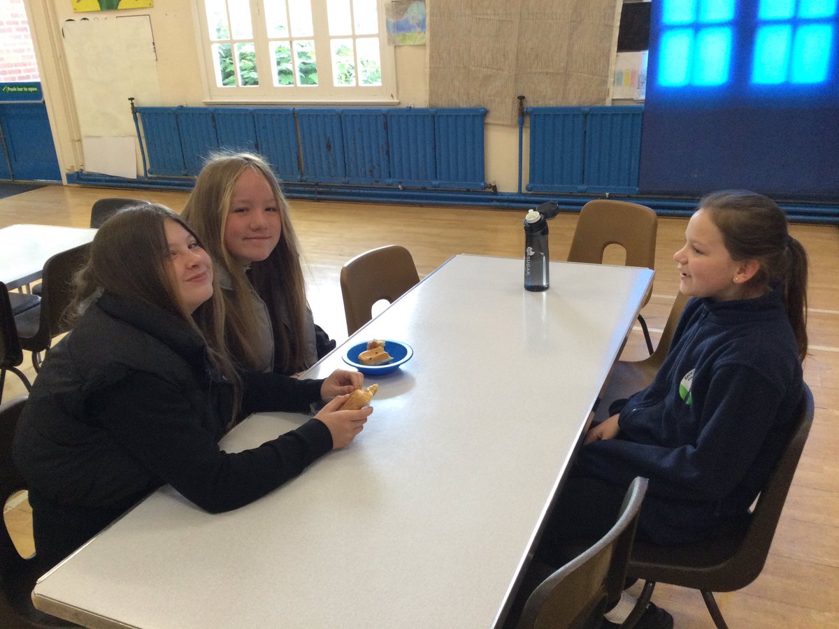 Year 6 Spire Junior School tweet media