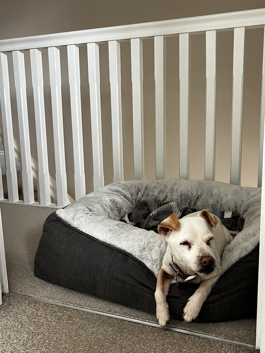 Crystal Coe tweet media