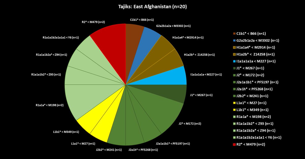 Y-DNA chart for Tajiks of East Afghanistan. The sample size is n=20. Later we will post Y-DNA charts for Tajiks of North Afghanistan, South+West Afghanistan, Tajikistan and Badakshan/Pamir region.