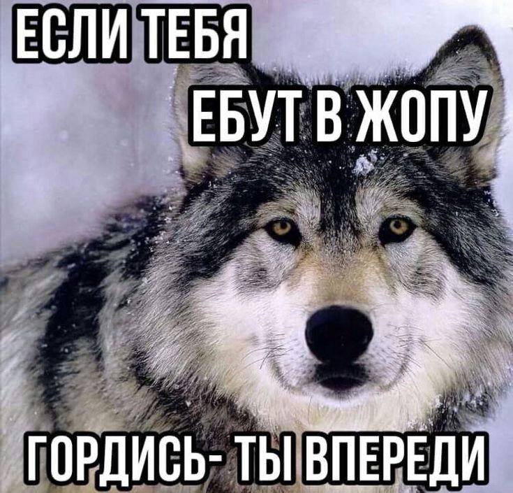 Мой акк в одной картинке