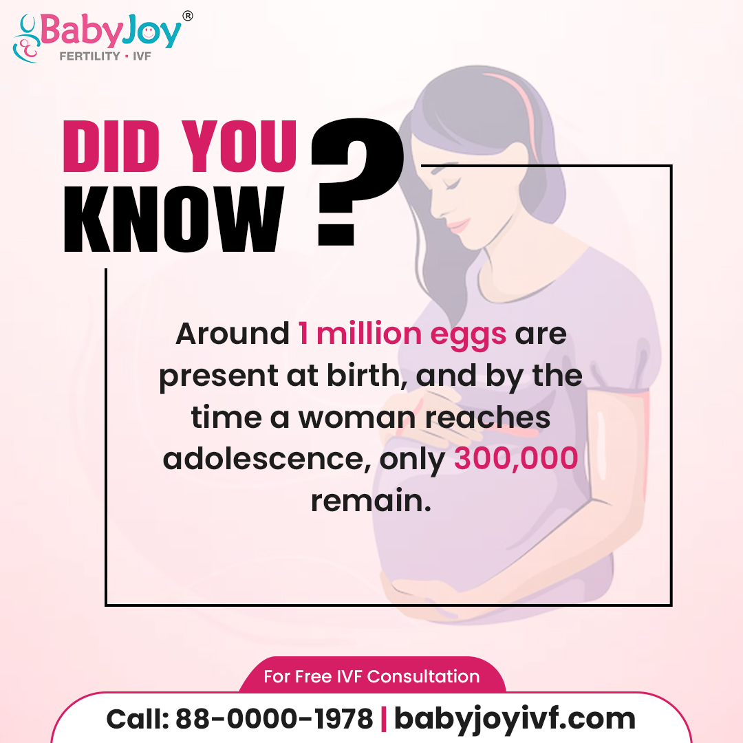 #didyouknow Around 1 million eggs are present at birth, and by the time a woman reaches adolescence, only 300,000 remain.

Think Baby,👶🏻Think Baby Joy👩🏻‍🍼

#pregnancy #fertility #femalefertility #ivf #ivfdelhi #babyjoyivf #ivfcentre #ivfdelhi #babyjoy #ivfjourney #ivf #ivftreatment