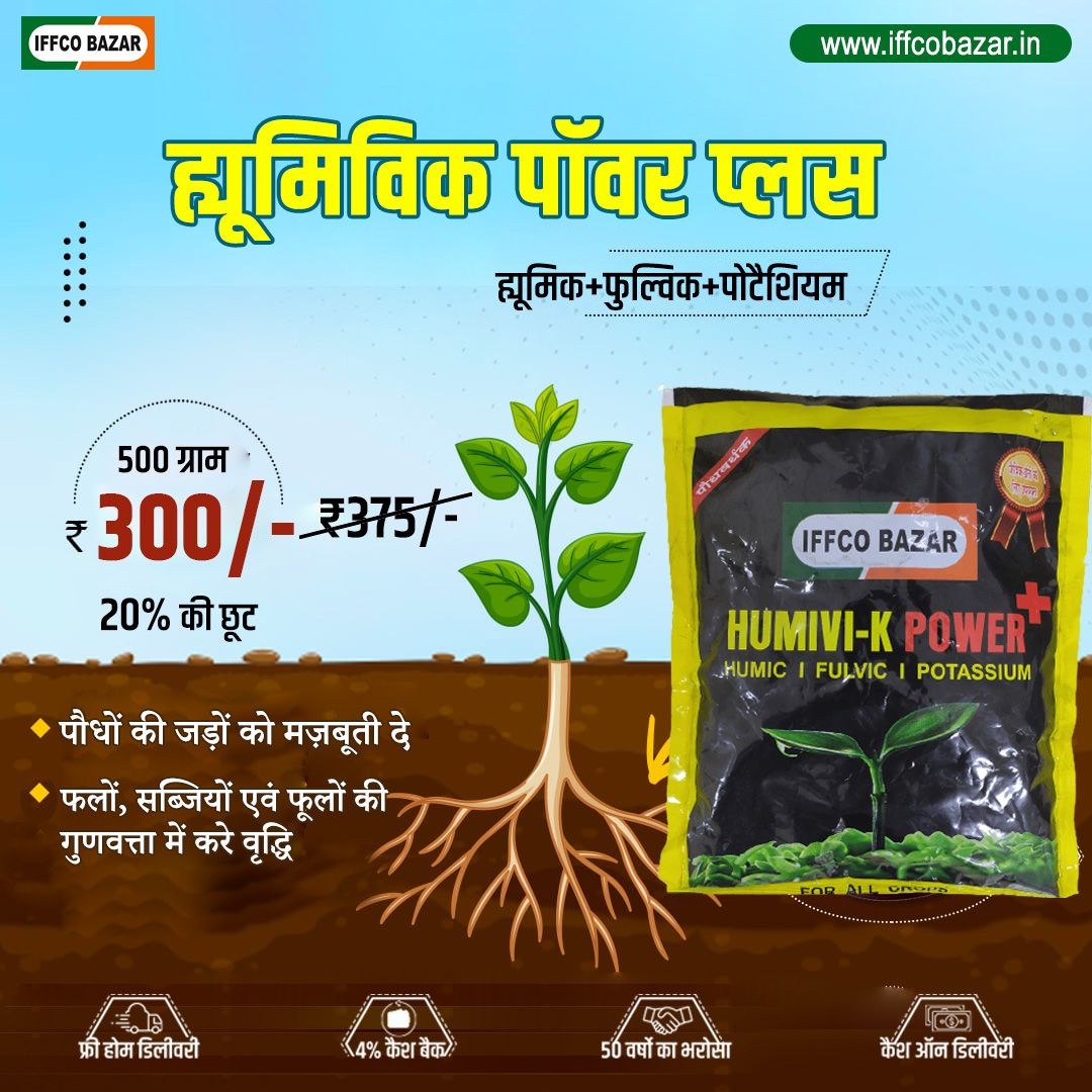 इसे 1 से 1.5 ग्राम प्रति लीटर पानी में मिलाकर फसल पर स्प्रे करें।
☎ टोल फ्री नंबर: 1800 103 1967
📱 व्हाट्सएप चैटबॉट: 9311 908 908
💬व्हाट्सएप चैनल: https://bit.ly/3tP4kdp
👉इफको बाज़ार मोबाइल ऐप डाउनलोड करें
📲 गूगल प्ले स्टोर: https://bit.ly/3T4EBUW
📲 ऐप स्टोर: http://bit.ly/3VmW6kM
#FreeHomeDelivery 🏡 #IFFCOBAZAR #humivikpowerplus #CropCare #farming