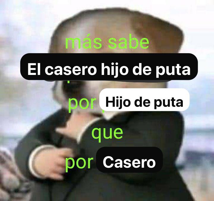 Radix (@nombrefalso1231) on Twitter photo 