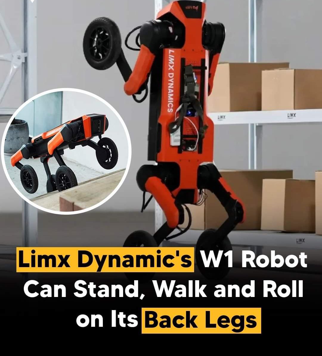 China’s LimX Dynamics has revolutionized robotics with the W1 quadruped robot. It can stand and walk on two feet. #robot #robotic #ai #design #futurehuman #future #nobletransformationhub