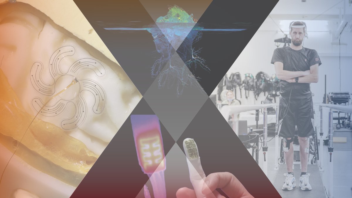 Neuro-X Institute (@neuro_x_epfl) on Twitter photo Interested in fully-funded postdoc opportunities at the interface of #neurotechnology #neuroscience #neuroAI? Do join us as <a href="/Neuro_X_EPFL/">Neuro-X Institute</a> postdoc fellow (deadline for application: June 1st) go.epfl.ch/Neuro-x-postdo… <a href="/EPFLEngineering/">EPFL School of Engineering</a> <a href="/epflSV/">EPFL Life Sciences</a> <a href="/ICepfl/">EPFL Computer and Communication Sciences</a> please RT Interested in fully-funded postdoc opportunities at the interface of #neurotechnology #neuroscience #neuroAI? Do join us as <a href="/Neuro_X_EPFL/">Neuro-X Institute</a> postdoc fellow (deadline for application: June 1st) go.epfl.ch/Neuro-x-postdo… <a href="/EPFLEngineering/">EPFL School of Engineering</a> <a href="/epflSV/">EPFL Life Sciences</a> <a href="/ICepfl/">EPFL Computer and Communication Sciences</a> please RT