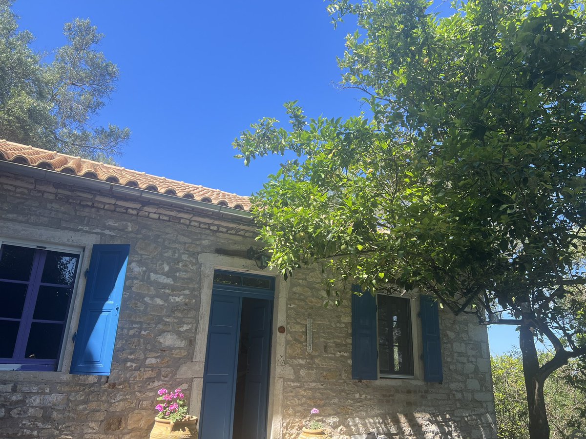 Elizabeth Speller tweet media